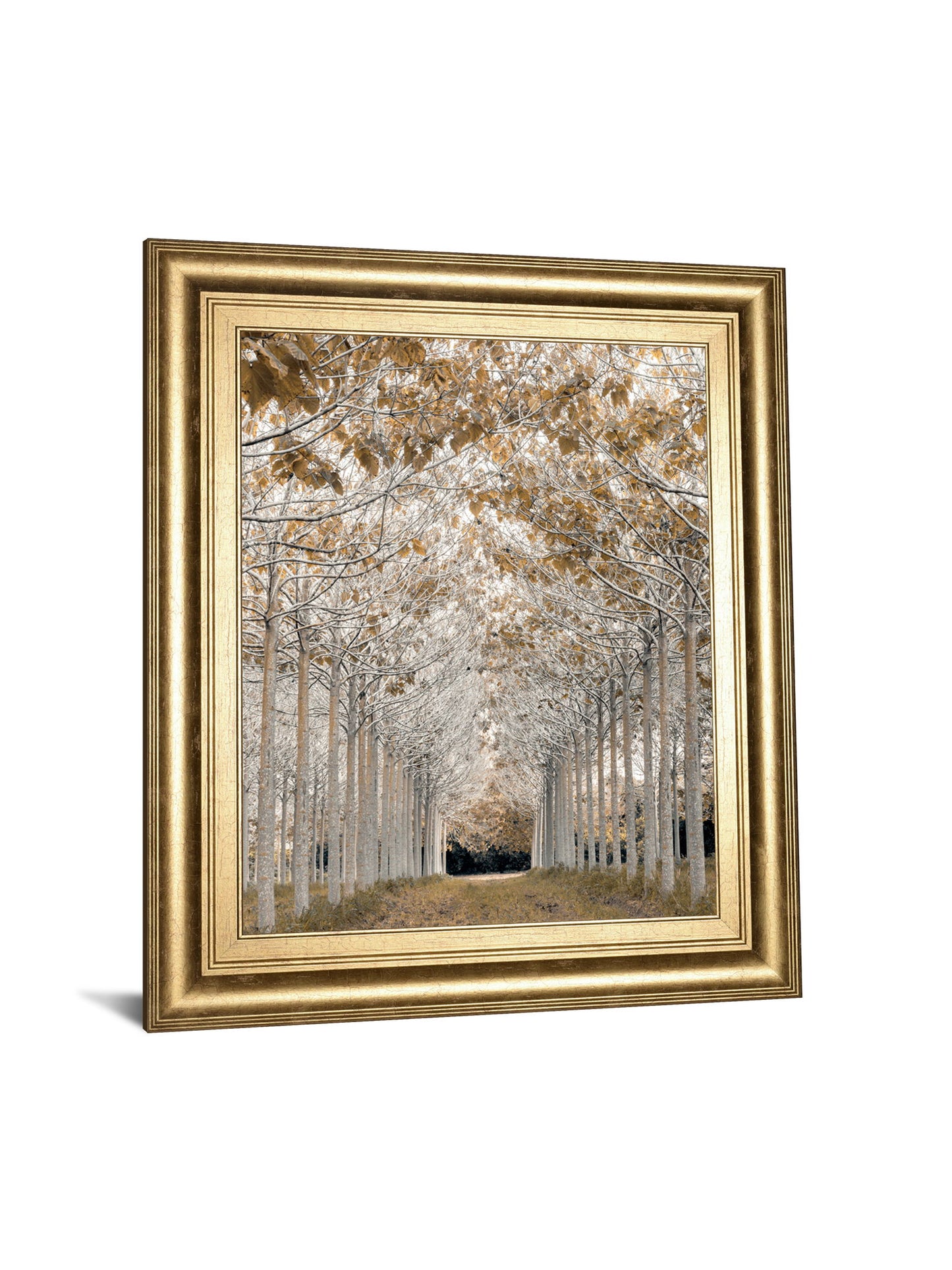 By Assaf Frank - Framed Print Wall Art - Light Brown