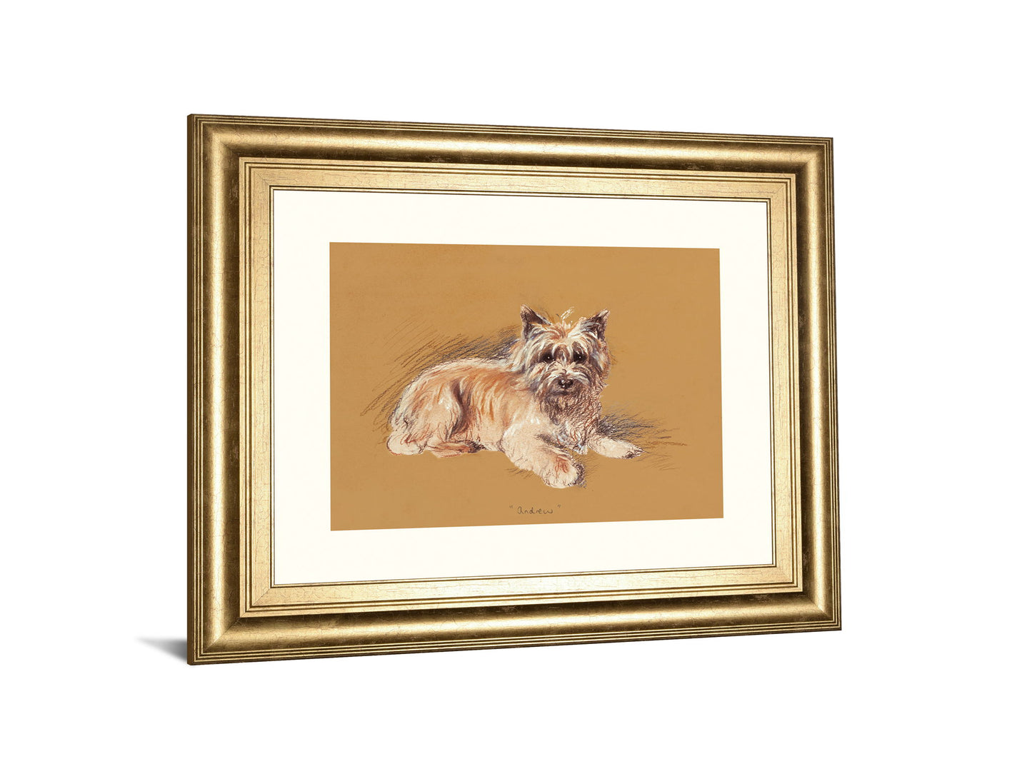 Andrew By Mac - Framed Print Wall Art - Beige