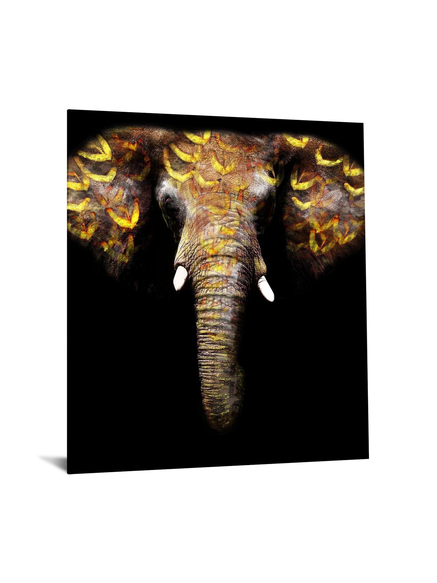 Floating Tempered Glass With Foil Elephant - Black