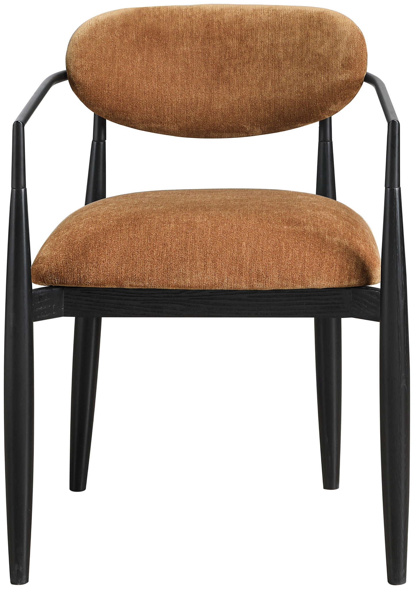 Riccio - Fabric Dining Arm Chair (Set of 2) - Black Frame