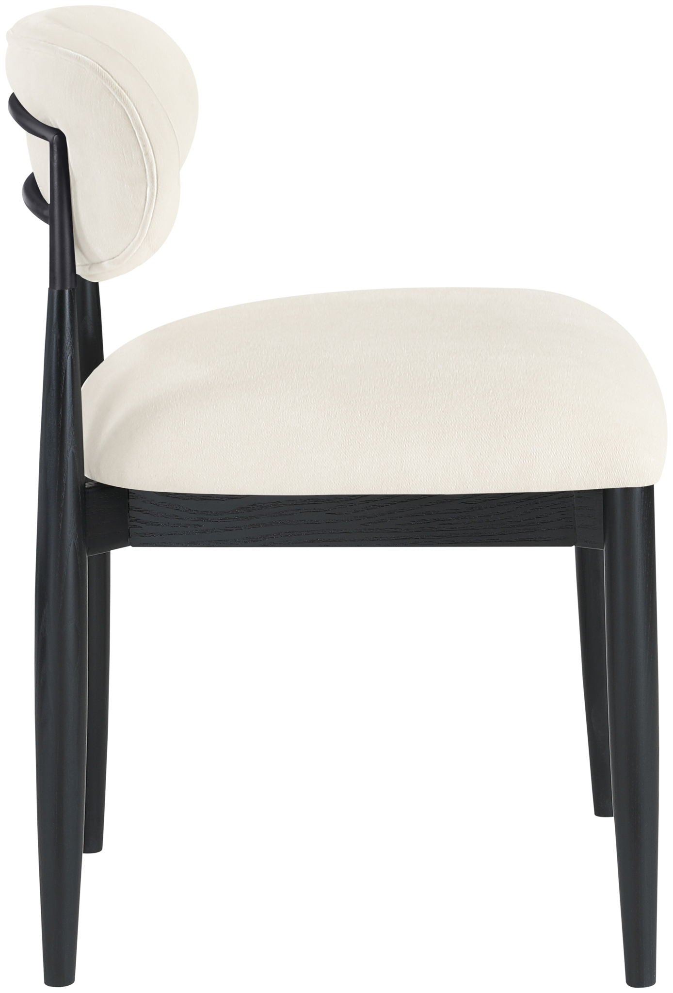 Riccio - Fabric Dining Side Chair (Set of 2) - Black Frame