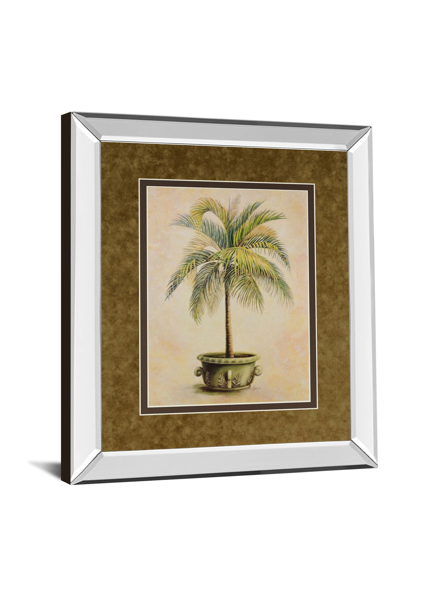 Potted Palm Il - Mirror Framed Print Wall Art - Light Brown