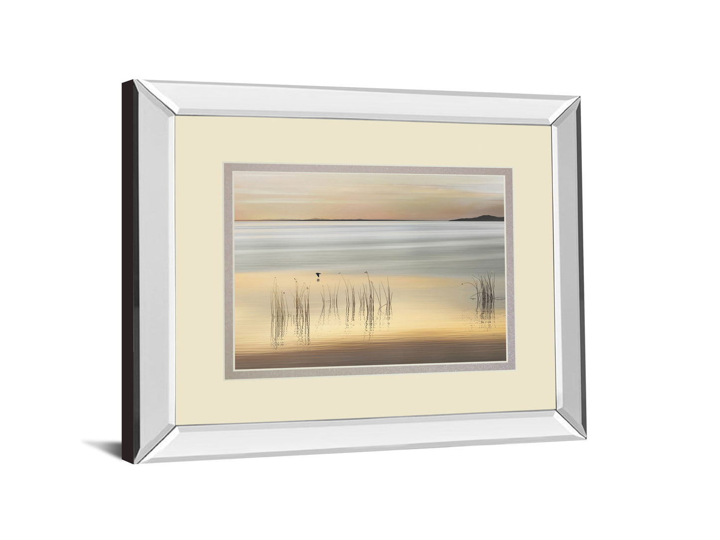 Golden By Marvin Pelkey - Mirror Framed Print Wall Art - Beige