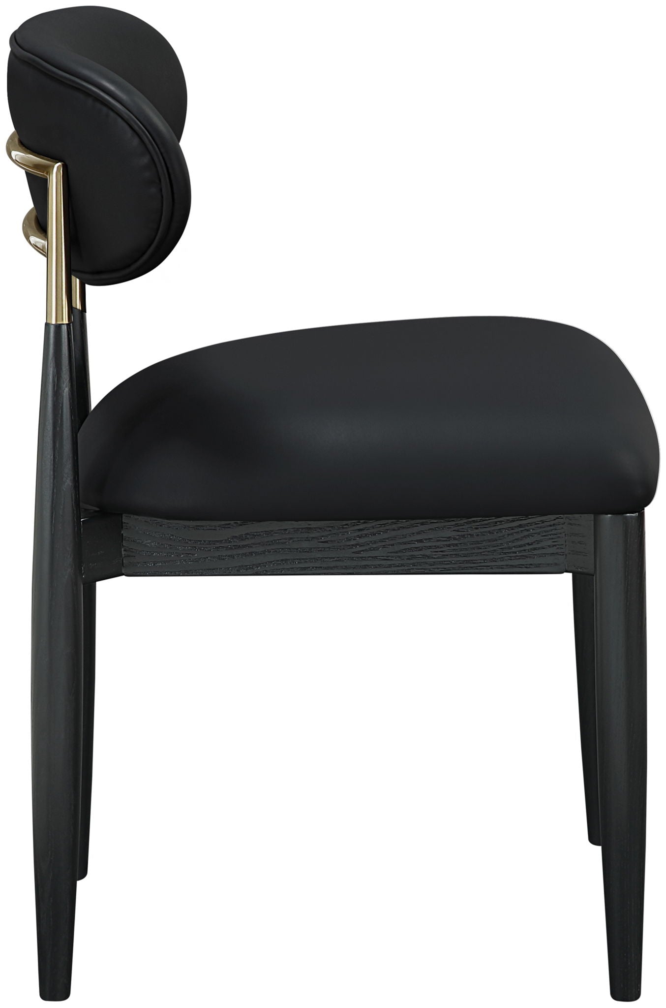 Riccio - Dining Side Chair (Set of 2) - Black And Gold Frame