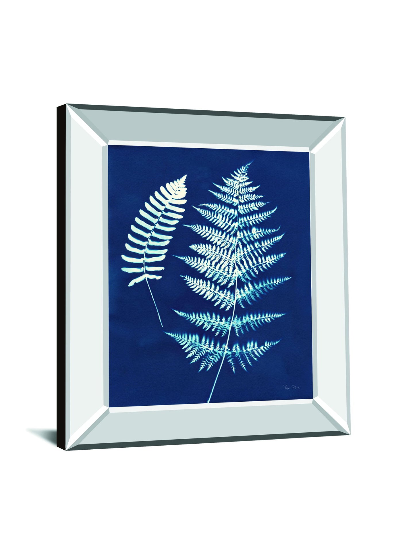 Nature By The Lake Ferns V By Piper Rhue - Mirror Framed Print Wall Art - Blue