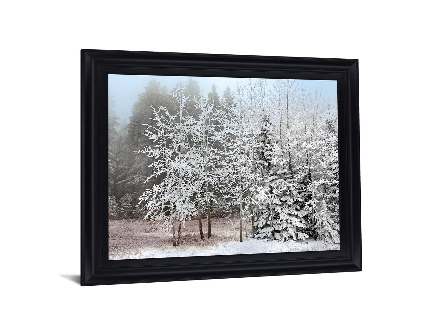 Silent Frosted Grove - 28" x 34" Framed Wall Art