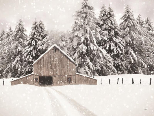 North Country By Lori Deiter (Framed) - Beige