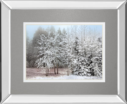 Frosty Morning By Mike Jone - Mirror Framed Print Wall Art - Gray