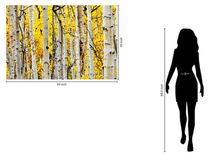 Tempered Glass With Foil - Yellow Aspen - Yellow