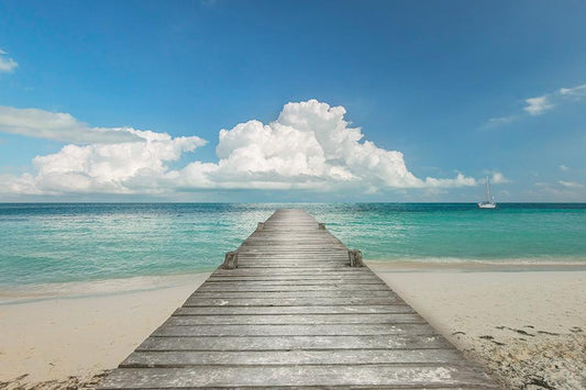 Infinity Pier By Danita Delimont (Small) - Blue