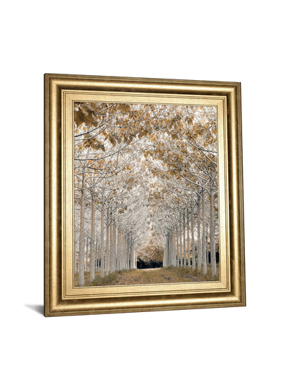 By Assaf Frank - Framed Print Wall Art - Light Brown