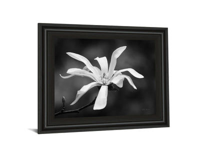 Magnolia Dreams I By Geyman Vitaly - Framed Print Wall Art - Dark Gray