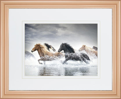 34x40 Horse Run V By PHBurchett - Gray