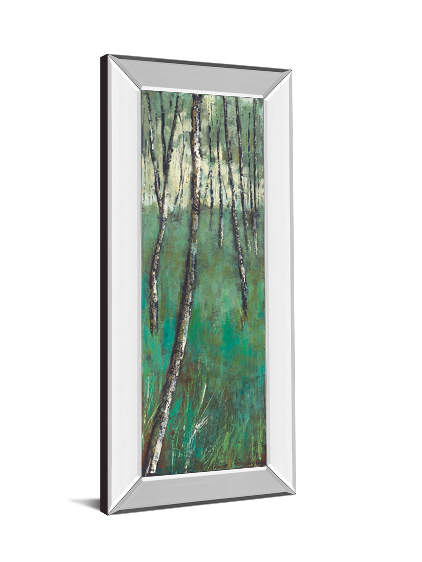 Nature Companion Il By Solis - Mirror Framed Print Wall Art - Green