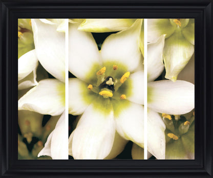 Ivory Petal Radiance - 28" x 34" Framed Wall Art - Beige