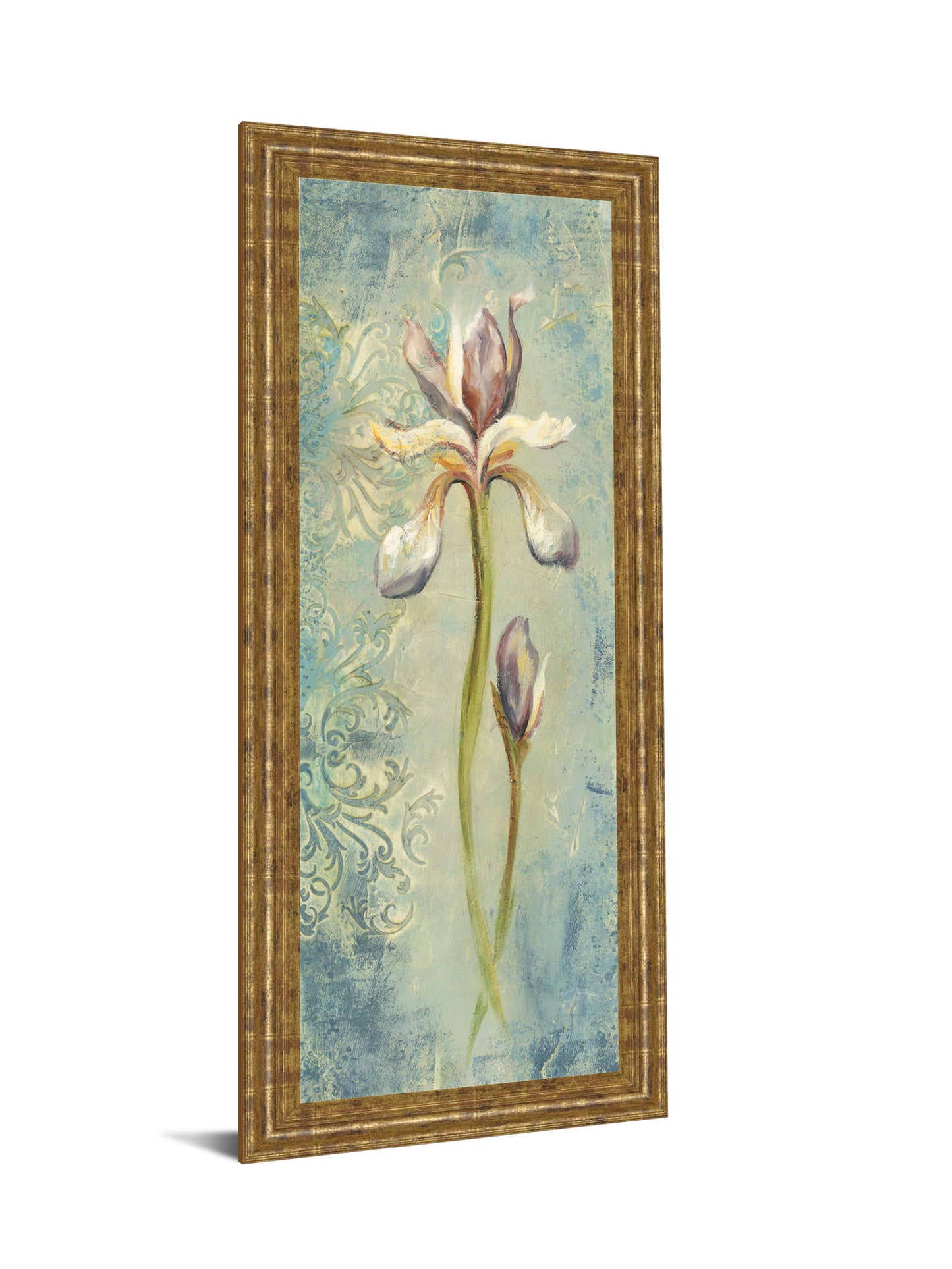 Floral Xi By Lee Hazel - Framed Print Wall Art - Light Blue
