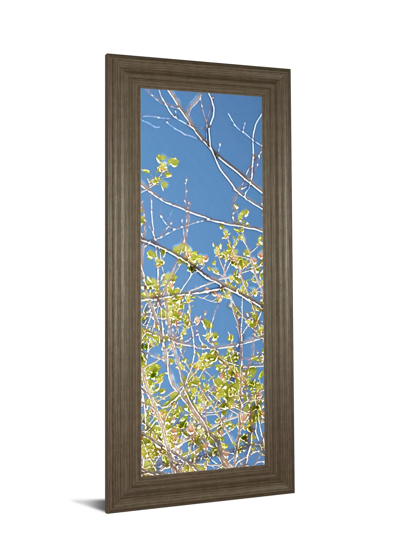 Spring Poplars IV By Sharon Chandler - Framed Print Wall Art - Light Blue