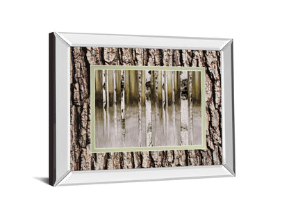 Fern Creek By Susan Jill Double Matted - Mirrored Framed Wall Art - Light Brown