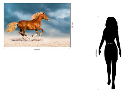 Tempered Glass With Foil - Golden Gallop - Blue