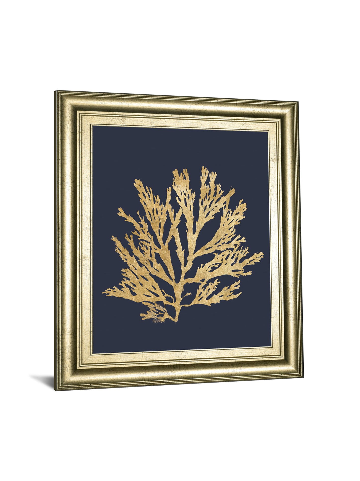 Pacific Sea Mosses I Indigo By Wild Apple Portfolio - Framed Print Wall Art - Dark Gray