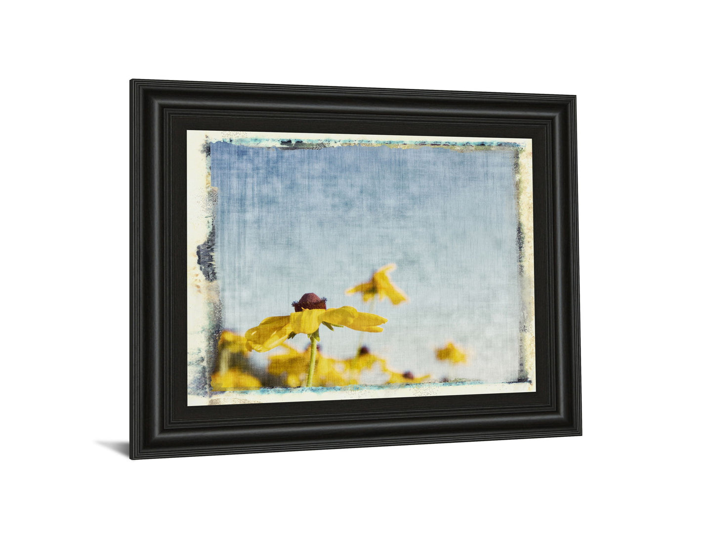 Blackeyed Susan's I By Meghan Mc Sweeney - Framed Print Wall Art - Light Blue