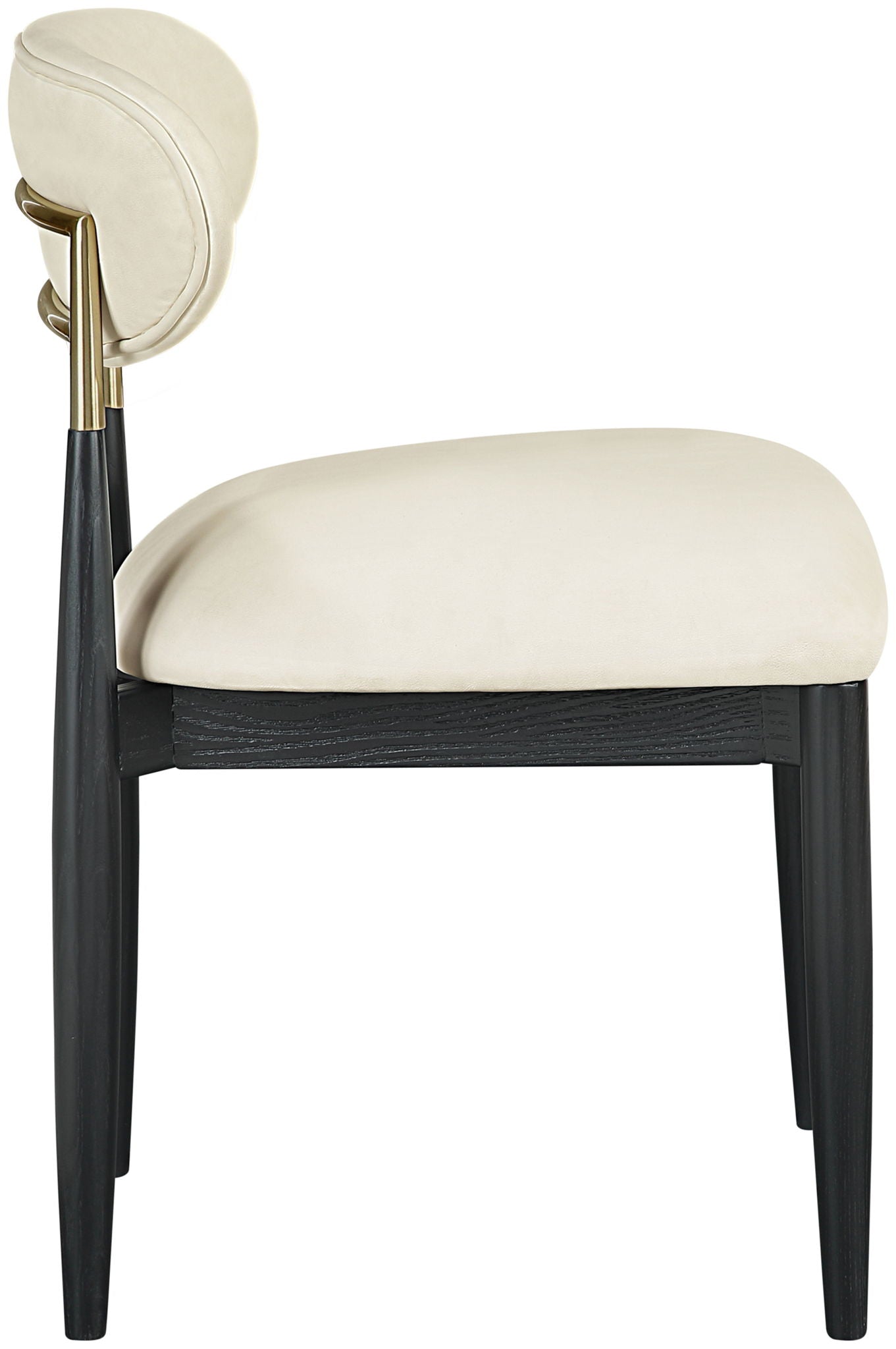 Riccio - Dining Side Chair (Set of 2) - Black And Gold Frame