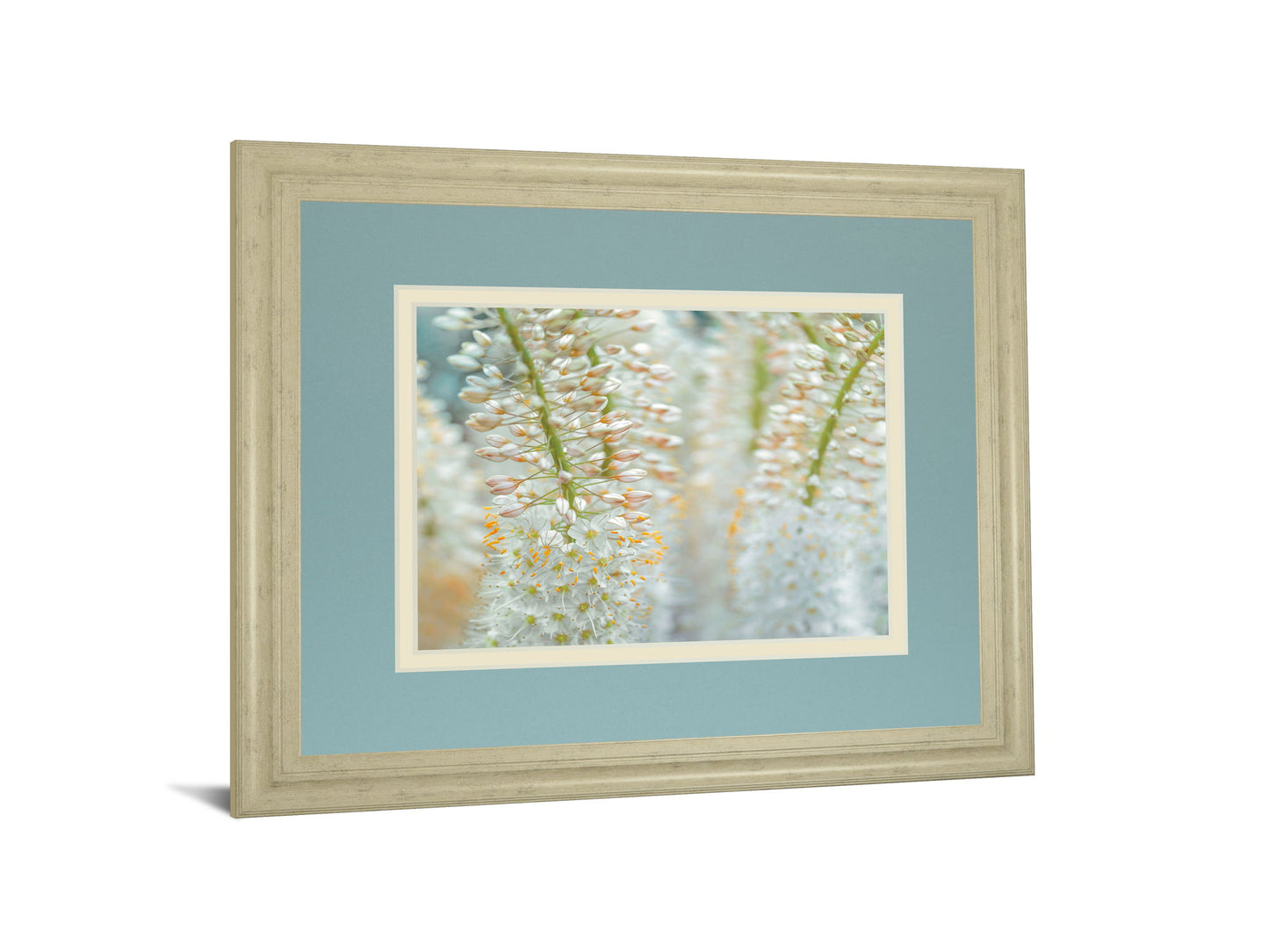 Humbled By Frank Assaf - Framed Print Wall Art - Light Blue