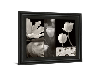 Summer Garden Il By Dennis Frates - Framed Print Wall Art - Dark Gray