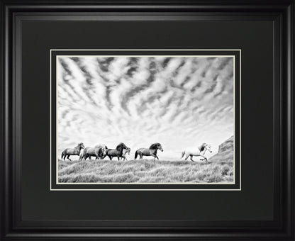 Horse Run III By PHBurchett - Pearl Silver