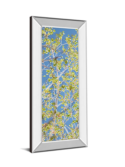 Spring Poplars I By Sharon Chandler - Mirror Framed Print Wall Art - Light Blue