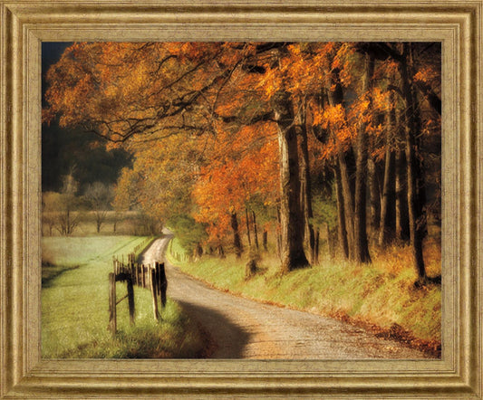 Amber Forest Pathway - 28" x 34" Framed Wall Art
