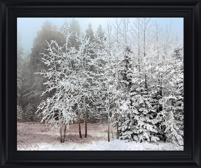 Silent Frosted Grove - 28" x 34" Framed Wall Art