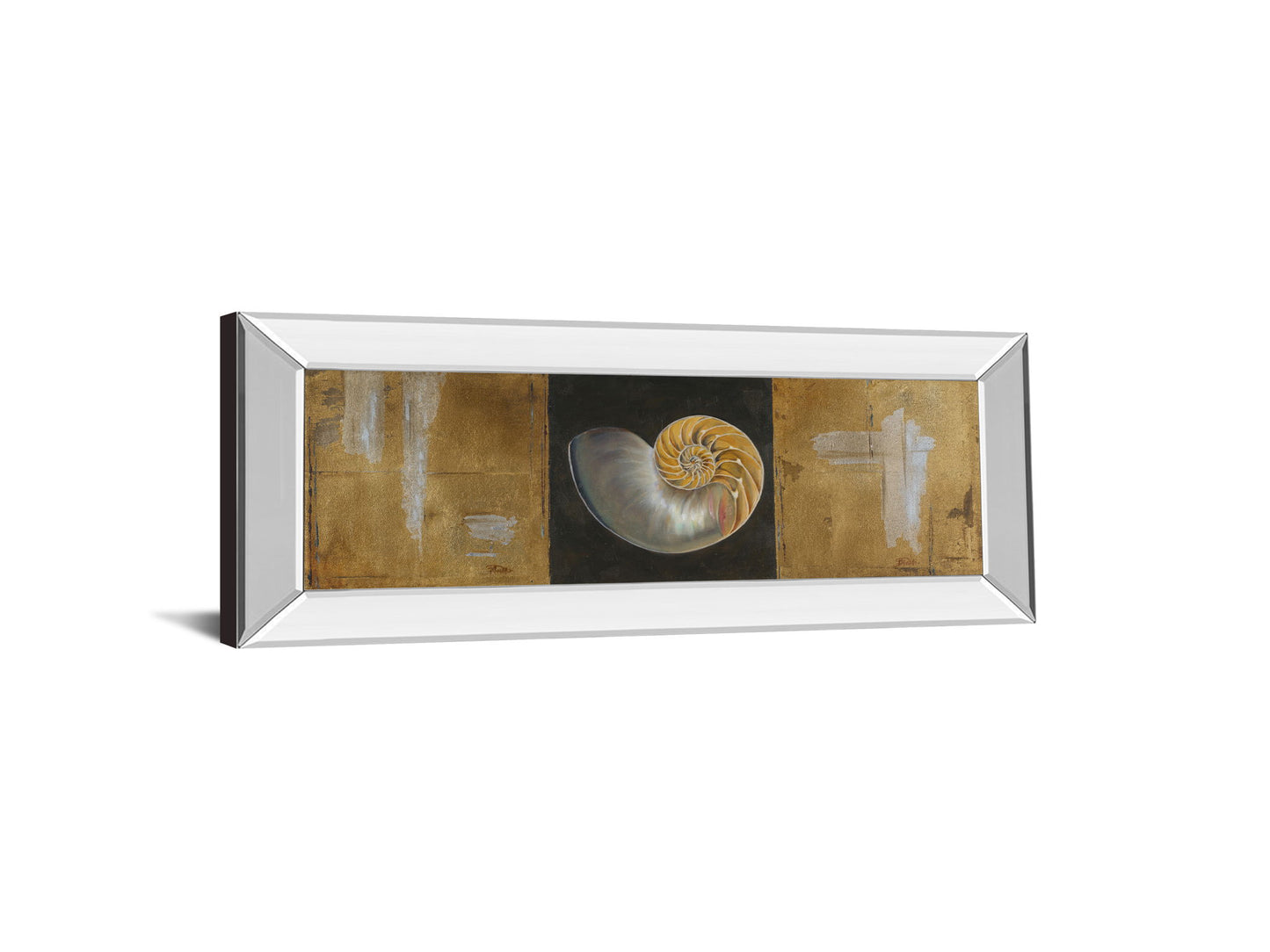 Seashells Il By Patricia Pinto - Mirror Framed Print Wall Art - Gold