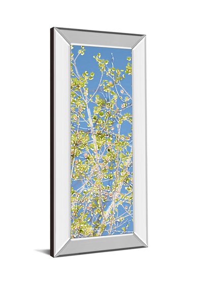 Spring Poplars Il By Sharon Chandler - Mirror Framed Print Wall Art - Light Blue
