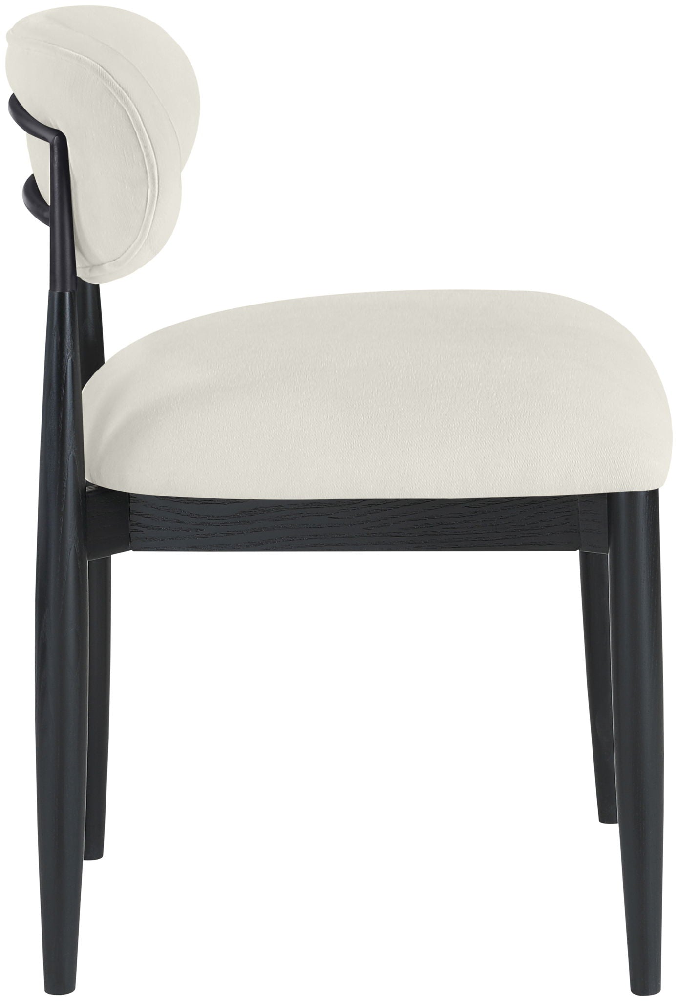 Riccio - Fabric Dining Side Chair (Set of 2) - Black Frame