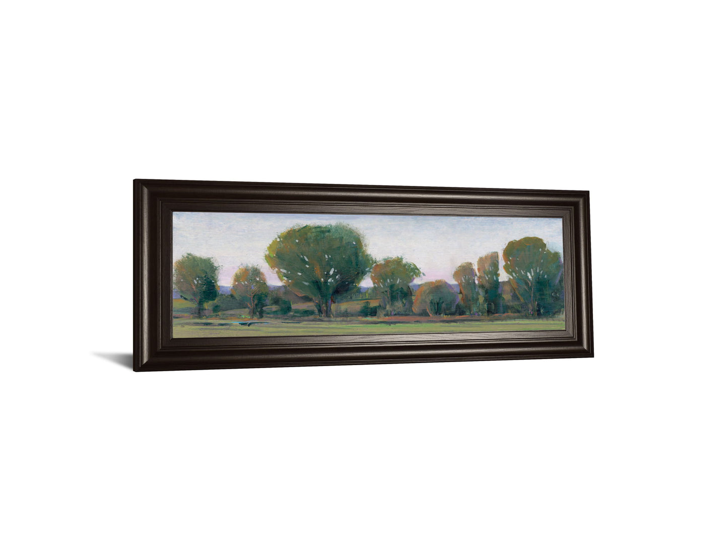 Panoramic Treeline Il By Tim Otoole - Framed Print Wall Art - Dark Green