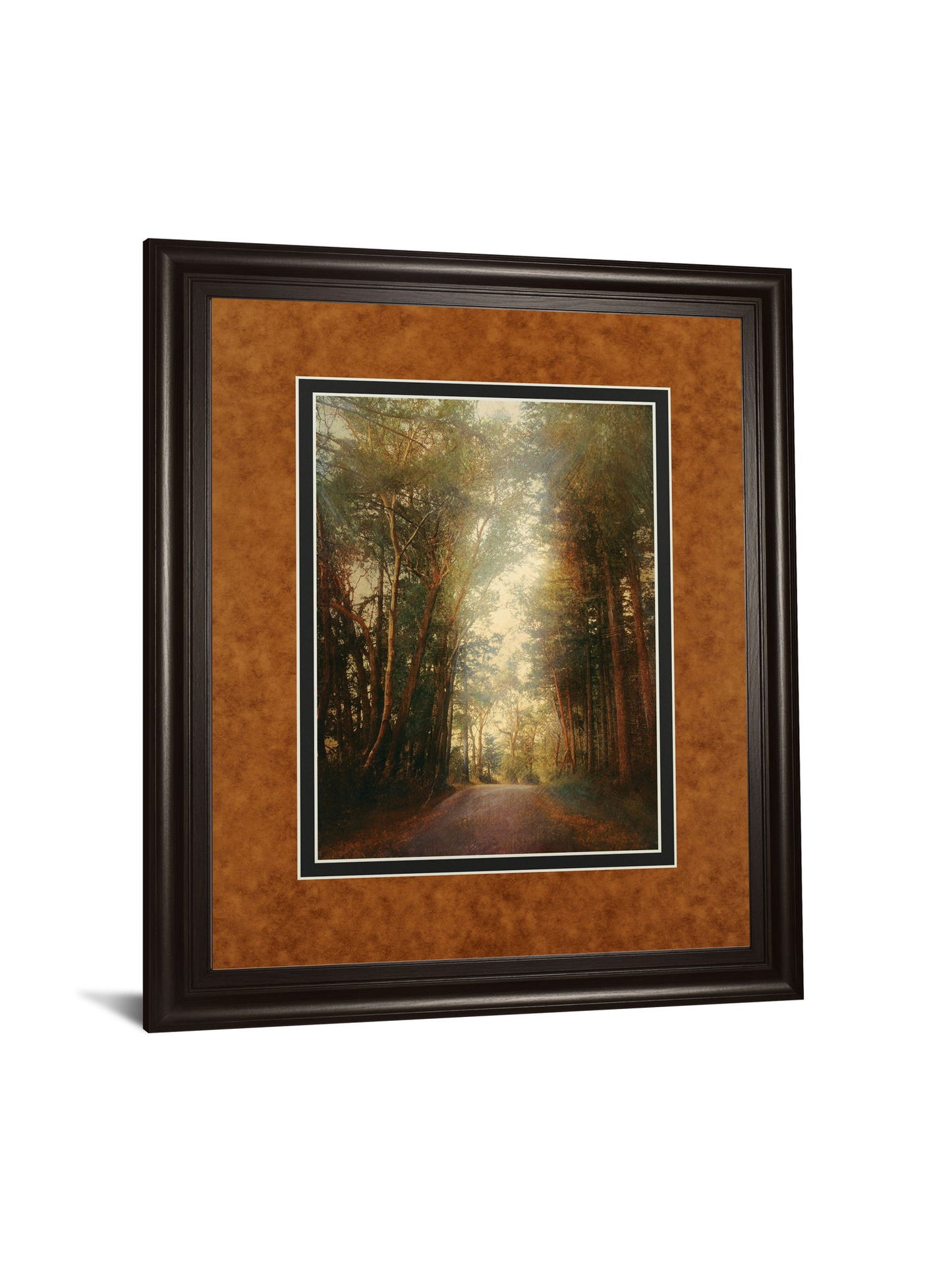 Road Of Mysteries Il By Amy Melious - Framed Print Wall Art - Light Brown