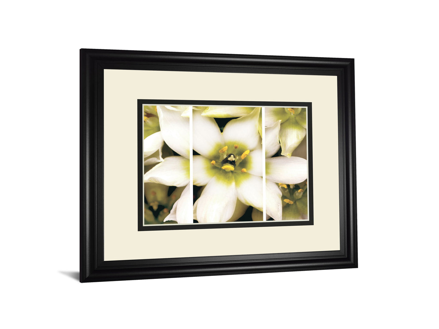 Star Of Bethlehem Triptych By Levine A. - Beige
