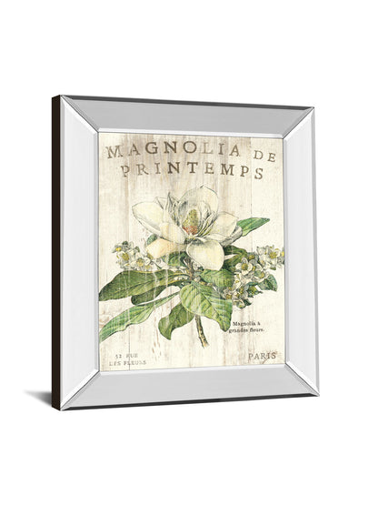 Magnolia De Printemps By Sue Schlabach - Mirror Framed Print Wall Art - Beige