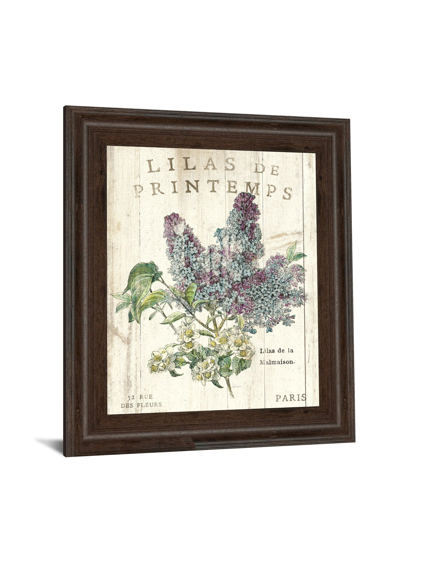 Lilas De Printemps By Sue Schlabach - Beige
