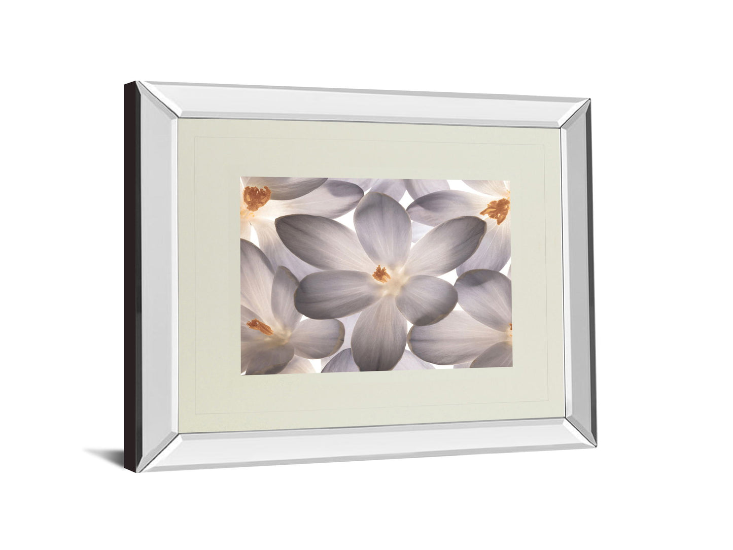 Petal Perfect By Assaf Frank - Mirror Framed Print Wall Art - Beige