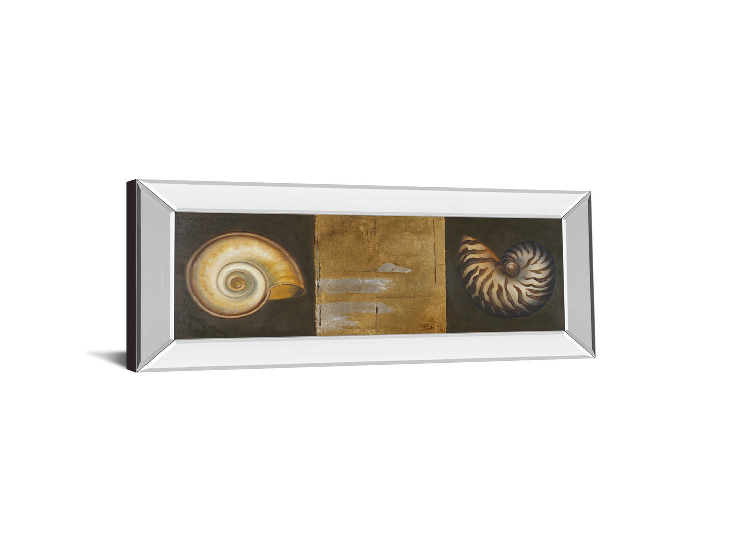 Seashells I By Patricia Pinto - Mirror Framed Print Wall Art - Gold