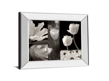 Summer Garden Il By Dennis Frates - Mirror Framed Print Wall Art - Dark Gray