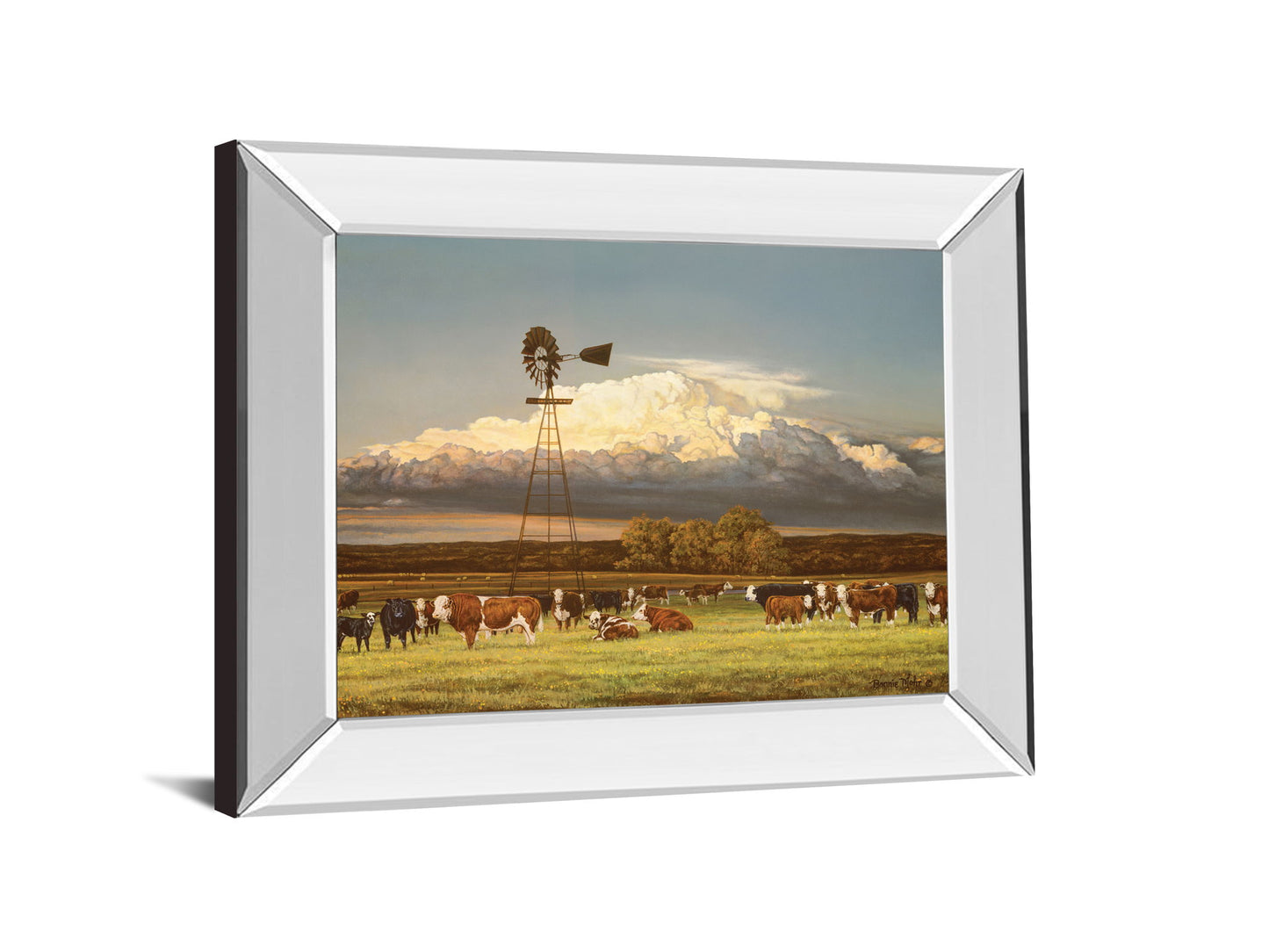 Summer Pastures By Bonnie Mohr - Mirror Framed Print Wall Art - Light Brown