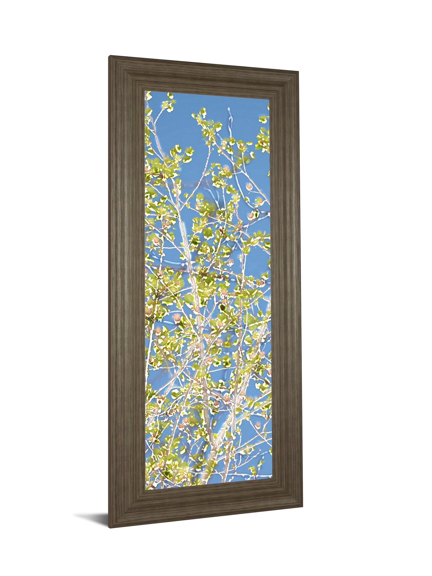 Spring Poplars Il By Sharon Chandler - Framed Print Wall Art - Light Blue