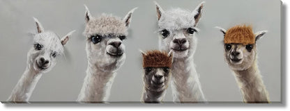 Whimsical Llama Lineup - 20" x 60" Framed Wall Art - Gray