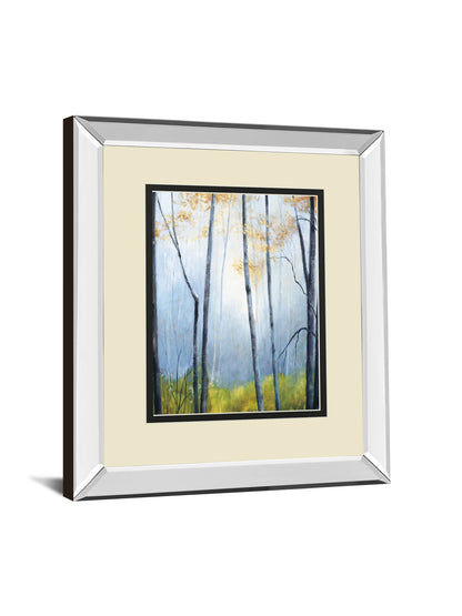 Tranquil River By Striffolino R. Mirrored Frame - Light Blue