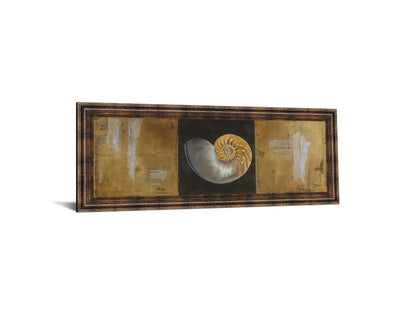 Seashells Il By Patricia Pinto - Framed Print Wall Art - Gold