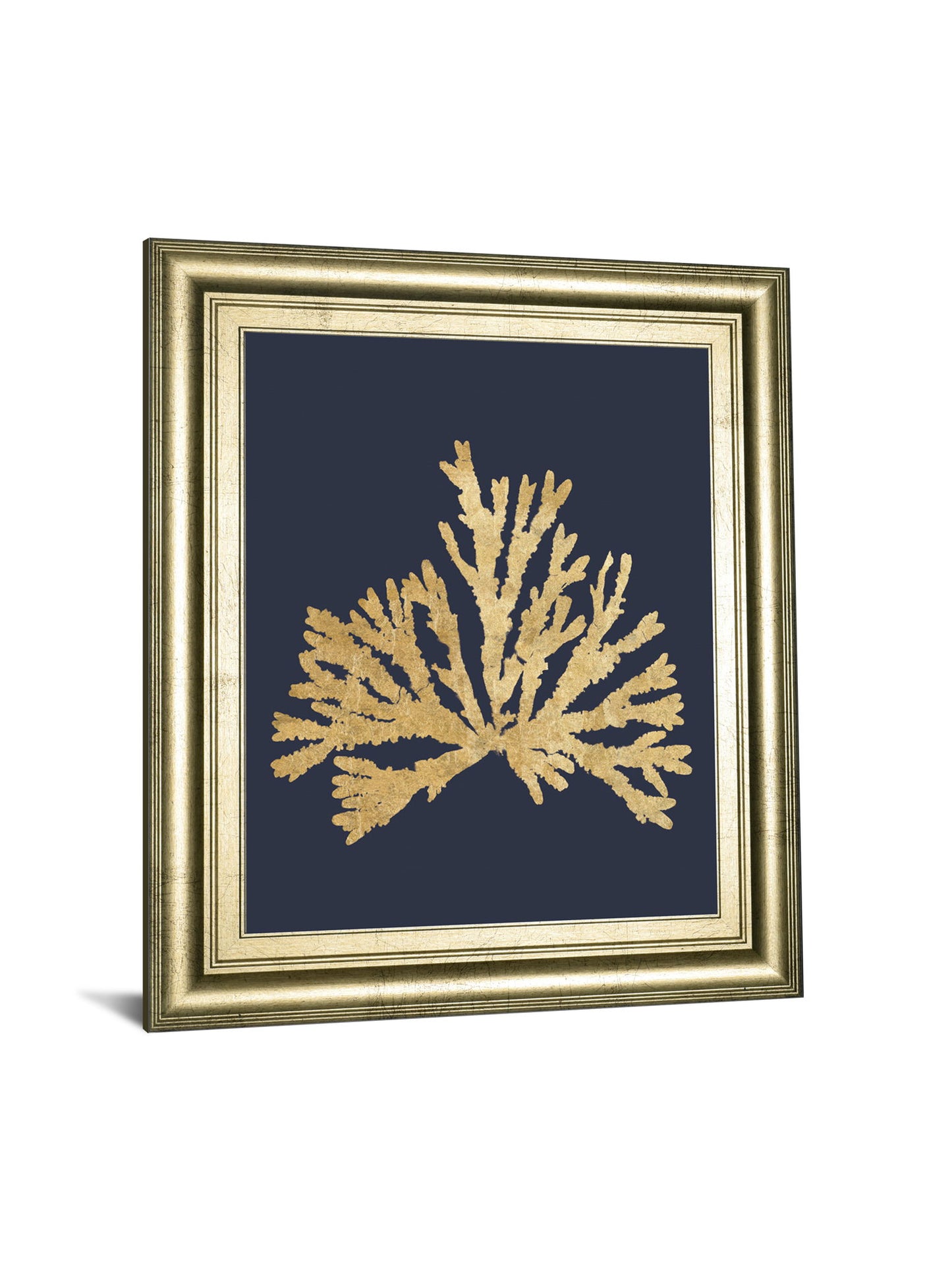 Pacific Sea Mosses IV Indigo By Wild Apple Portfolio - Framed Print Wall Art - Dark Gray